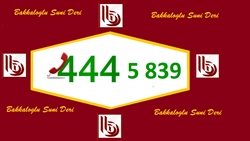 Bakkaloglu Suni Deri- Kurumsal Hat